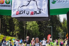 bvr_17_291