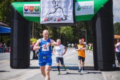bvr_17_294
