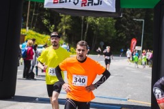 bvr_17_297
