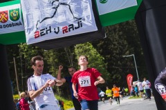 bvr_17_299