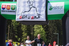 bvr_17_302