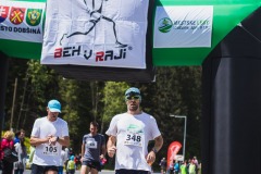 bvr_17_308