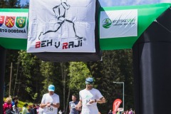 bvr_17_310