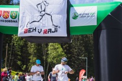 bvr_17_311