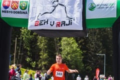 bvr_17_313