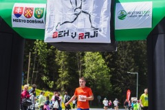 bvr_17_314