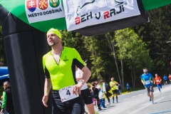 bvr_17_316