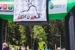 bvr_17_319
