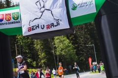 bvr_17_325