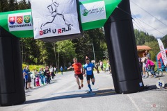 bvr_17_331
