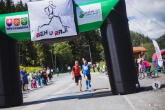 bvr_17_332