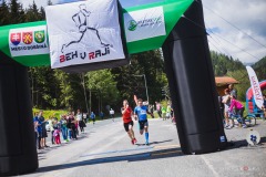 bvr_17_333