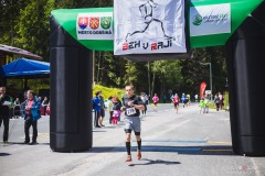 bvr_17_338