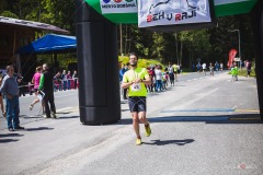 bvr_17_339