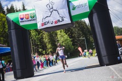 bvr_17_353