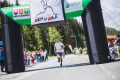 bvr_17_355