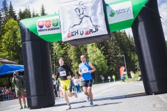 bvr_17_357