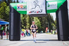 bvr_17_369