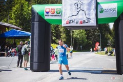 bvr_17_372