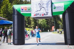 bvr_17_373