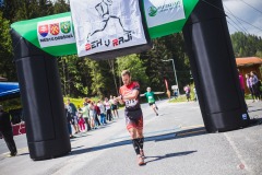 bvr_17_379