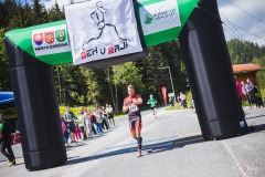 bvr_17_381