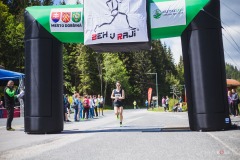 bvr_17_386