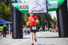 bvr_17_387