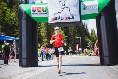bvr_17_388