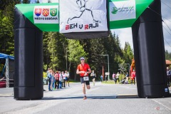 bvr_17_391