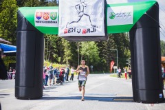 bvr_17_407