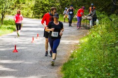 bvr_17_419