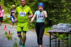 bvr_17_462