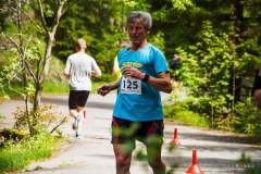 bvr_17_483