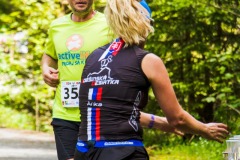 bvr_17_485