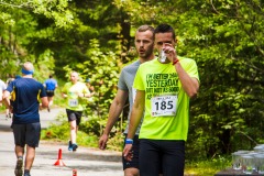 bvr_17_487