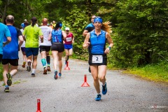 bvr_17_527