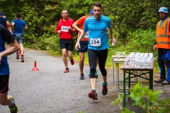 bvr_17_529