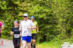 bvr_17_539