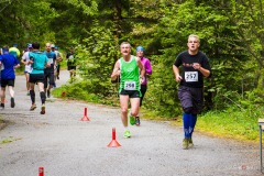 bvr_17_541