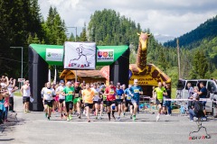 bvr18_0833