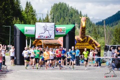 bvr18_0834
