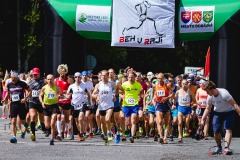 bvr18_0881