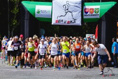 bvr18_0884