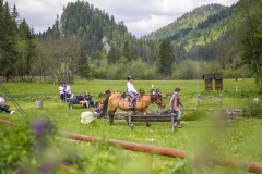 bvr19_045